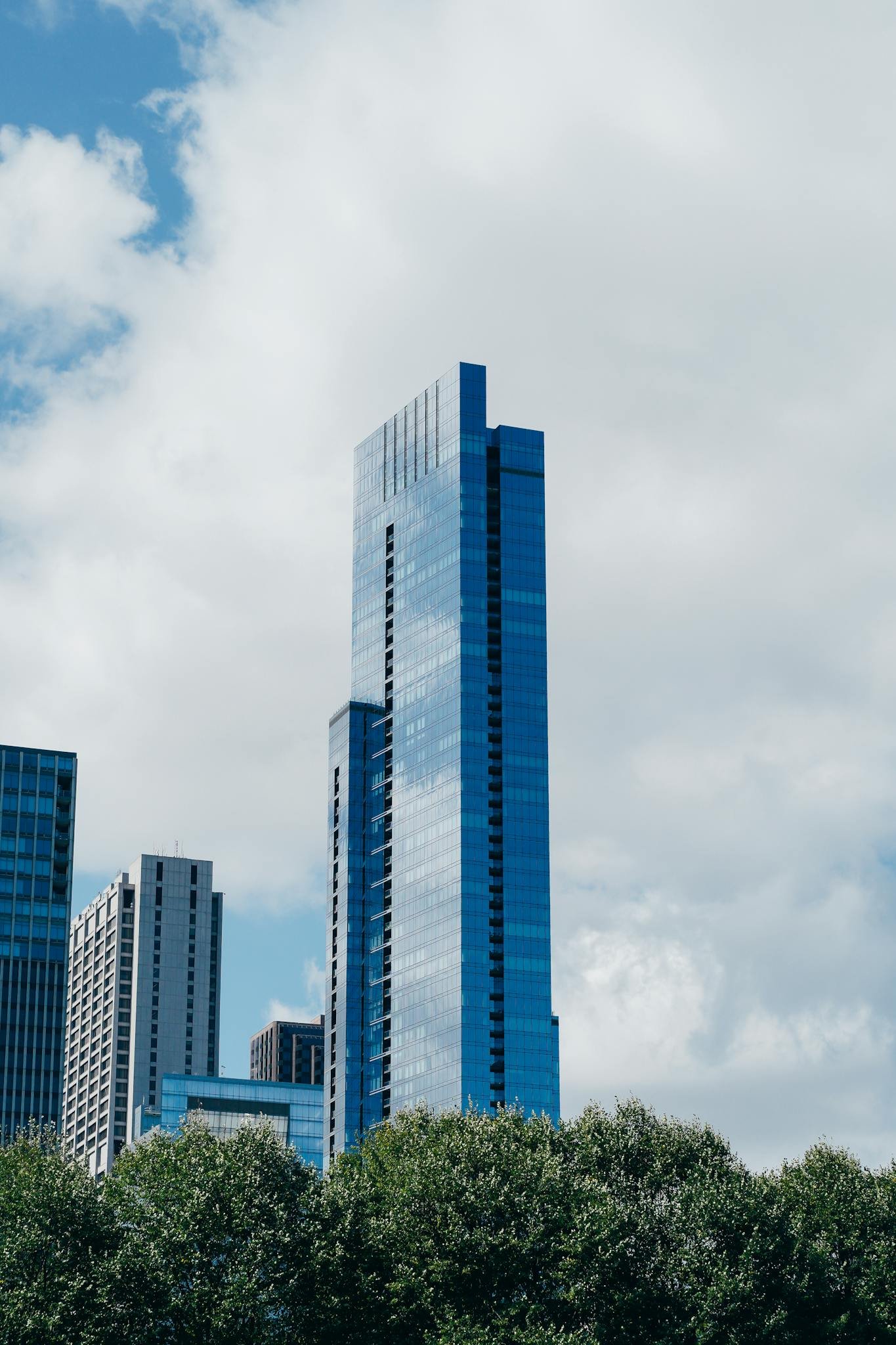 Exterior of modern glass skyscrapers located near green lush park in urban city on clear summer day